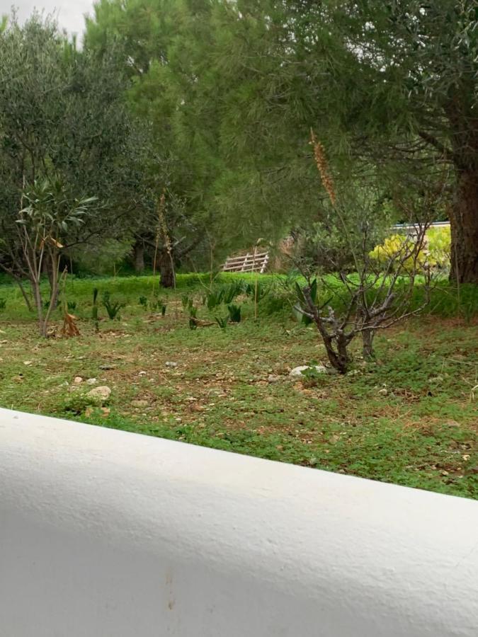 Irene'S House Villa Piso Livadi Dış mekan fotoğraf