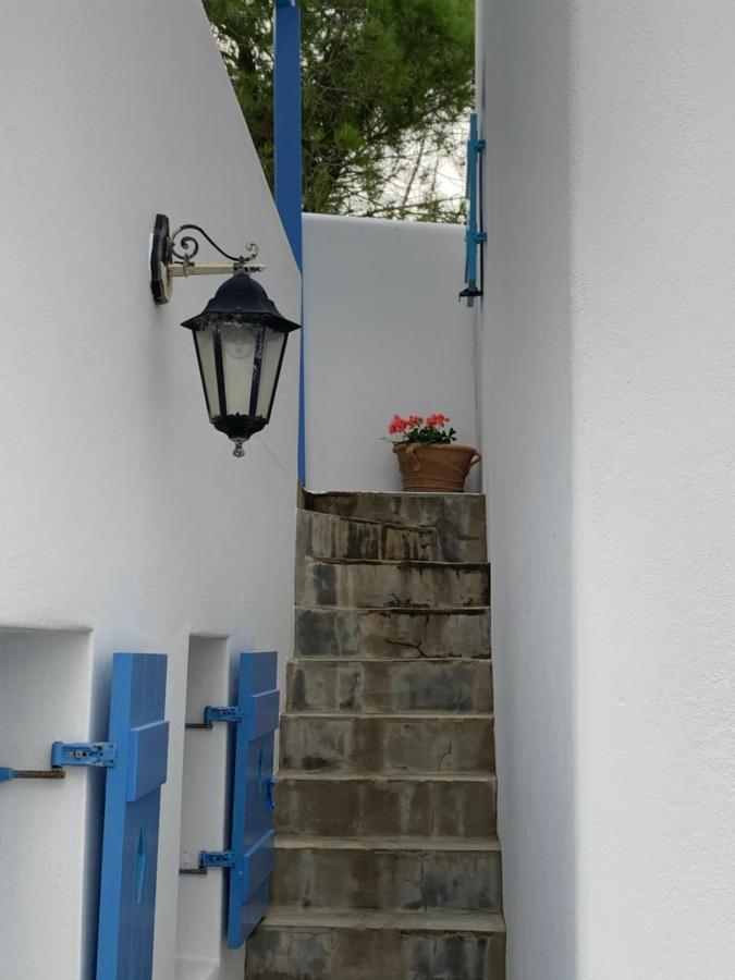 Irene'S House Villa Piso Livadi Dış mekan fotoğraf