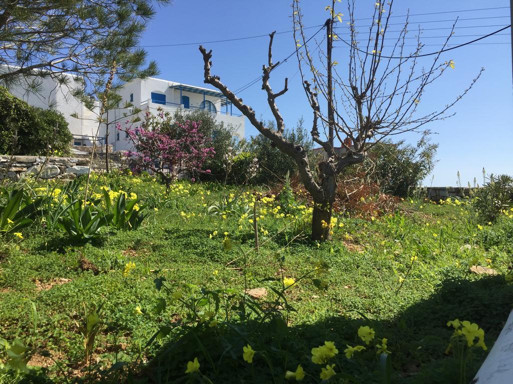 Irene'S House Villa Piso Livadi Dış mekan fotoğraf